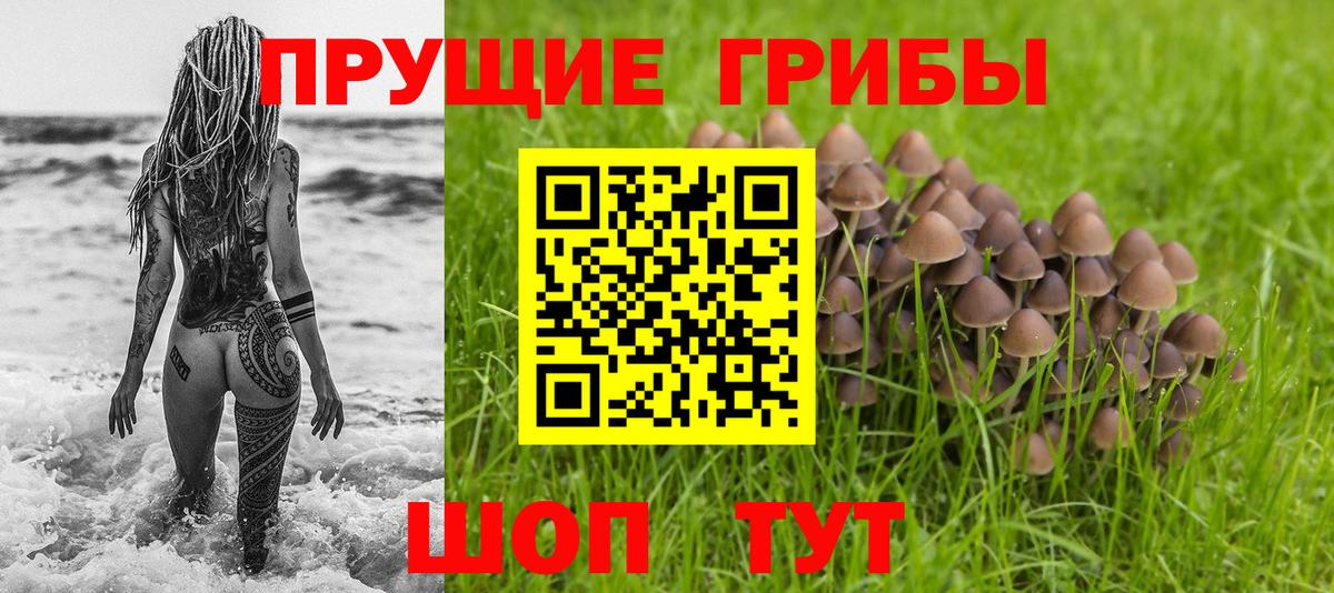 Псилоцибиновые грибы мицелий  Псилоцибиновые грибы Psilocybine cubensis  Вход с VPN  Людиново 