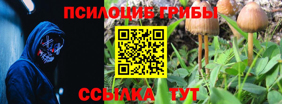 Галлюциногенные грибы прущие грибы Людиново